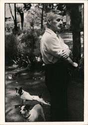William Faulkner Postcard