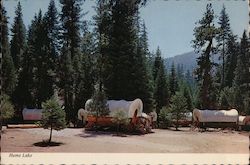 Wagon Train Camp Postcard