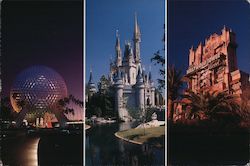 Walt Disney World Postcard Postcard Postcard