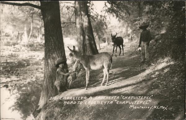 Boy With Burro on the Road to Chapultepec Monterrey NL Mexico
