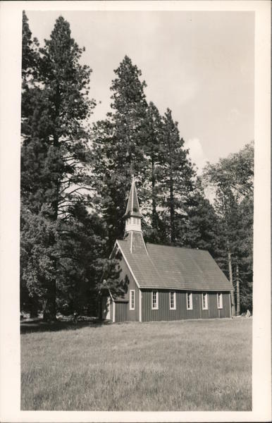 Church Among Tall Trees Churches