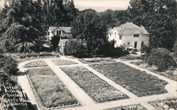 Luther Burbank Gardens Santa Rosa California