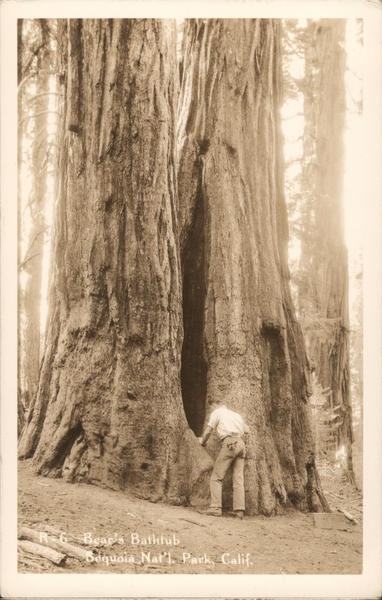 R-6 Bear's Bathtub Sequoia & Kings Canyon National Parks