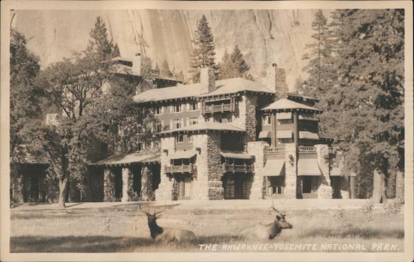Elk on the Front Lawn, Ahwahnee Hotel Yosemite National Park California