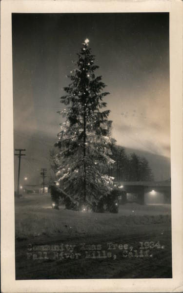 Community Xmas Tree, 1934 Fall River Mills California