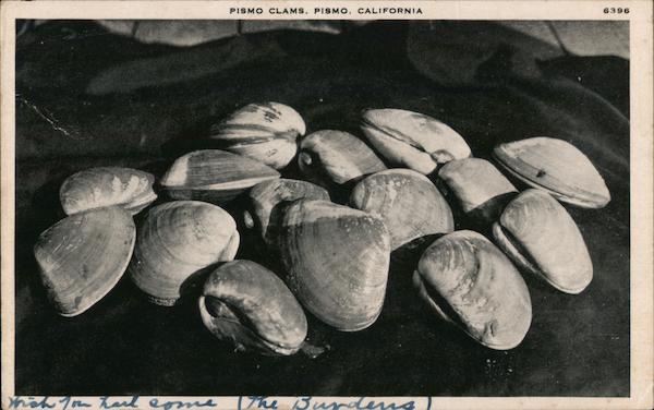 Pismo Clams Pismo Beach California