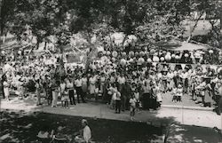Lawrence Welk Fan Club Picnic of 1962 Movie and Television Advertising Postcard Postcard 