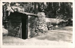 Tharp's Log, Sequoia National Park Postcard