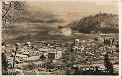 Bird's Eye View Postcard