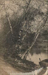 Lake, rowboat Canoes & Rowboats Postcard Postcard Postcard