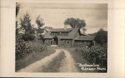 "Sunflower Inn" Postcard