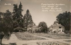 Experimental Gardens and Home of Luther Burbank Postcard