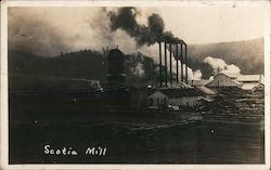 Scotia Mill, Pacific Lumber Company Postcard