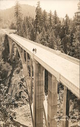 Dan Creek Bridge, Redwood Highway Postcard
