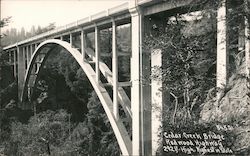 Cedar Creek Bridge, Highest in State, Redwood Highway Postcard
