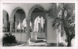 Athenaeum California Institute of Technology Postcard