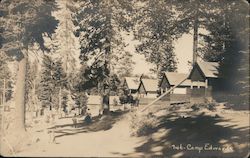 Camp Edwards, cabins, trees Postcard