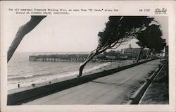 Old Monstead Pleasure Fishing Pier, from "El Paseo" Along the Strand Redondo Beach, CA Postcard Postcard Postcard