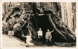 Stock #827755 Thumbnail