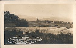 Castner's System of Septic Tanks Postcard