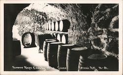 Famous Napa County Wine Caves, Scenic Art Postcard
