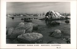 Monterey Harbor Scene Postcard