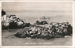 Seal Rocks Postcard