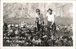 Abalone Fishing Point Arena, CA Postcard Postcard Postcard