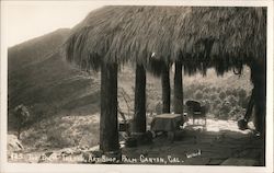 The Patch Thatch Art Shop, Palm Canyon Palm Springs, CA Willard Postcard Postcard Postcard