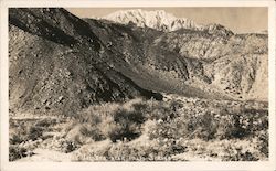 View of Mt. San Jacinto Postcard