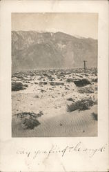 Angel on San Jacinto Mountain Postcard