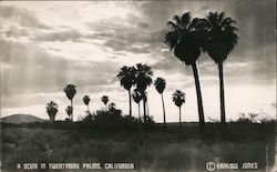 A Scene in Twentynine Palms California Postcard Postcard Postcard