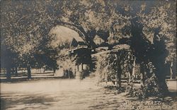 Social Hall, Aetna Springs, Cal. Postcard