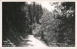 Mountain Road near Weaverville Postcard