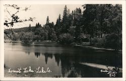 Forest Lake, Lake County California Postcard Postcard Postcard