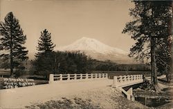 Mt. Shasta from Pacific Highway Postcard