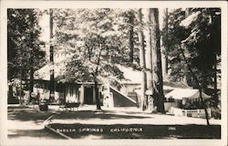 SHASTA SPRINGS CALIFONIA Postcard