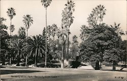 Beverly Hills Park Postcard