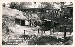 Ghost Town Goldmine Postcard