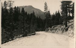 Spanish Peak Quincy, CA Eastman's Photo Postcard Postcard Postcard