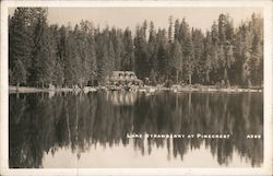 Lake Strawberry Postcard
