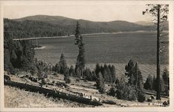 Lake Almanor, California Postcard Postcard Postcard