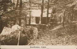 MacDowell Cabin Postcard