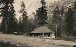 Roadside building Postcard
