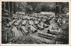 Gathering at Bohemian Grove Postcard