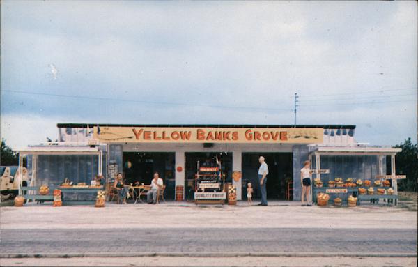 Yellow Banks Grove, Florida fruits, store Indian Rocks Beach