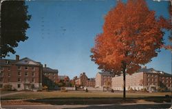 Pennsylvania State University Hamilton-Thompson Halls, McKee Hall Postcard