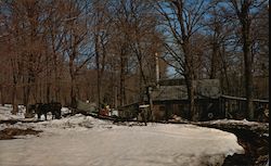 Gathering the sap for the famous Vermont Maple Syrup Postcard