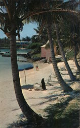 Cambridge Beaches, palm trees, beach, pier Somerset, Bermuda Postcard Postcard Postcard