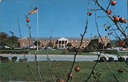 Stock #829809 Thumbnail